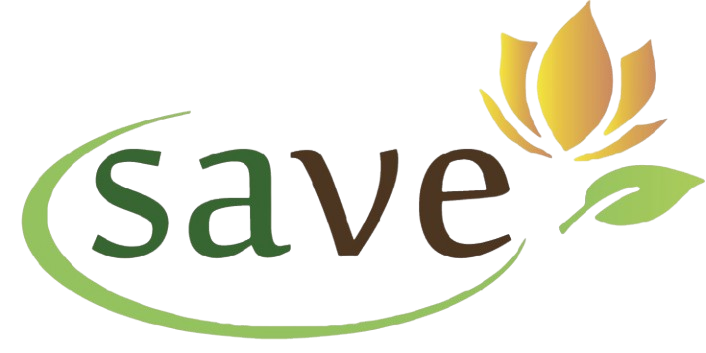 Save Consultores