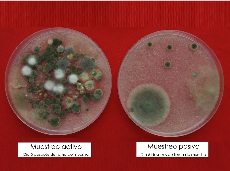 Monitoreo microbiológico ambiental
